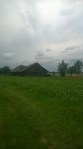 ZAPOLE_03