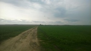 Zapole_04